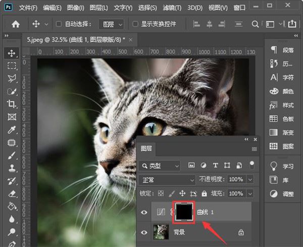 Photoshop2024中文破解版