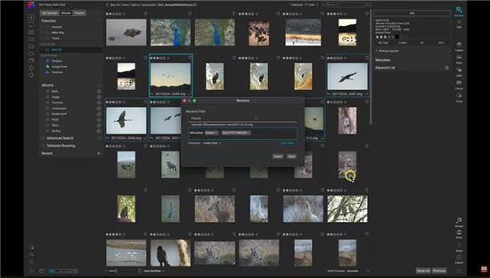 ON1 Photo RAW 2024中文版