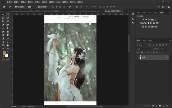 adobe Photoshop cc 2019中文破解版