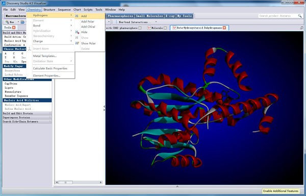 Discovery Studio 2021