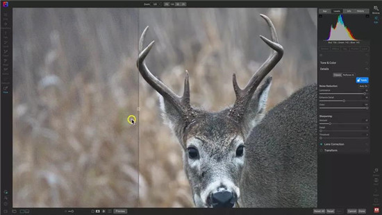 ON1 Photo RAW 2024中文版