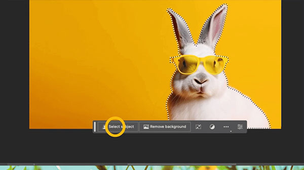Photoshop2024中文破解版