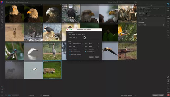 ON1 Photo RAW 2024中文版