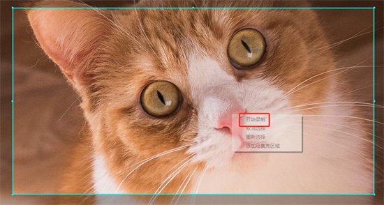 录屏终结者电脑版