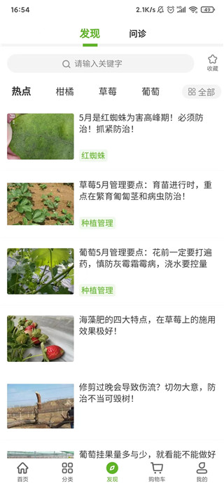 大丰收农资商城app