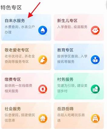 岳办岳好官方app