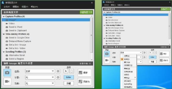snagit 12(截图工具)