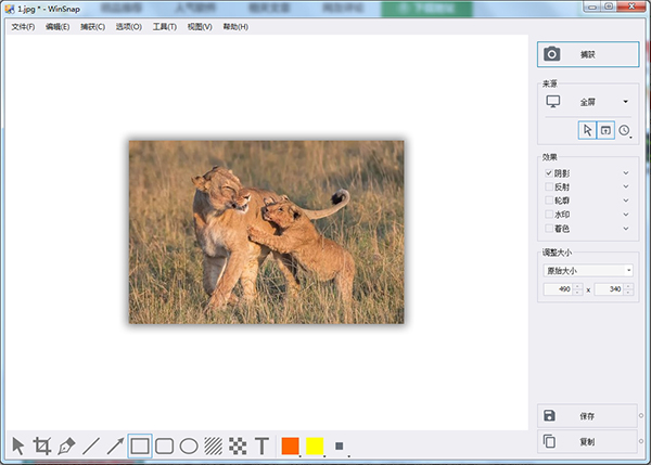 WinSnap屏幕截图工具(屏幕捕获软件)