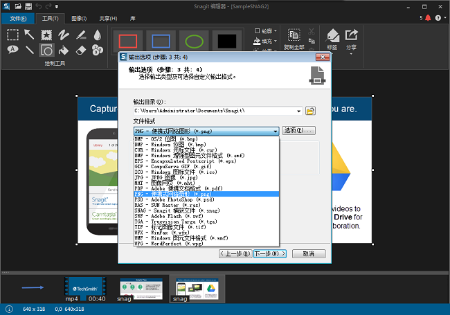 snagit 12(截图工具)