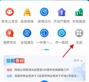 岳办岳好官方app