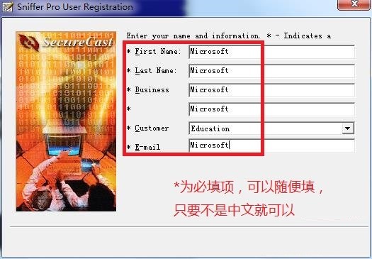 sniffer pro中文版