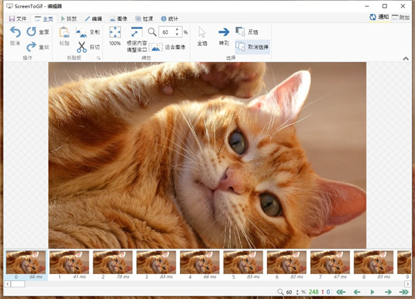 ScreenToGif(GIF动画录制工具)