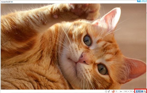 ScreenToGif(GIF动画录制工具)