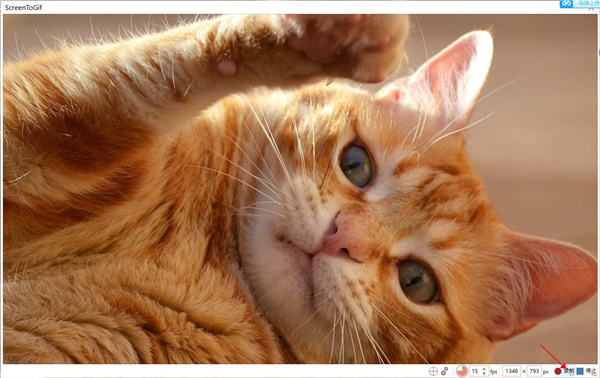 ScreenToGif(GIF动画录制工具)