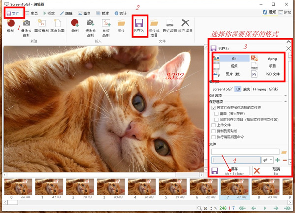 ScreenToGif(GIF动画录制工具)