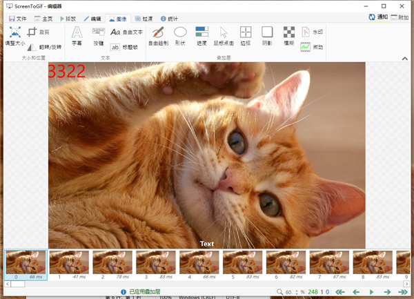 ScreenToGif(GIF动画录制工具)