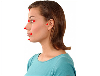 CrazyTalk8(脸部动画制作工具)