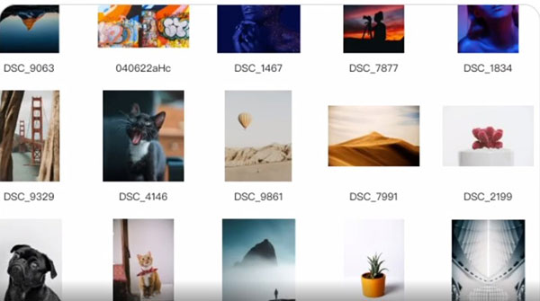 billfish素材管理工具