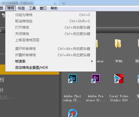 adobe bridge 2022中文版