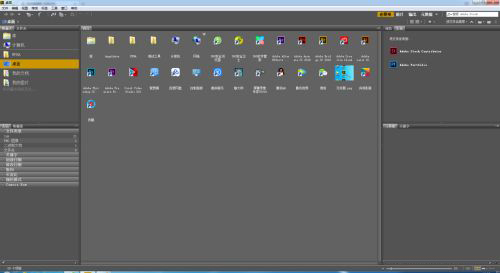 adobe bridge 2022中文版