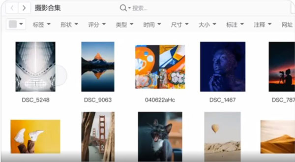 billfish素材管理工具