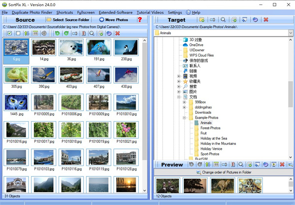 SortPix XL官方版(图像管理软件)
