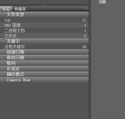 adobe bridge 2022中文版