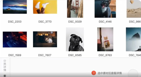 billfish素材管理工具