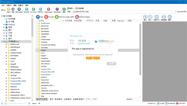 PDF Splitter Pro中文版