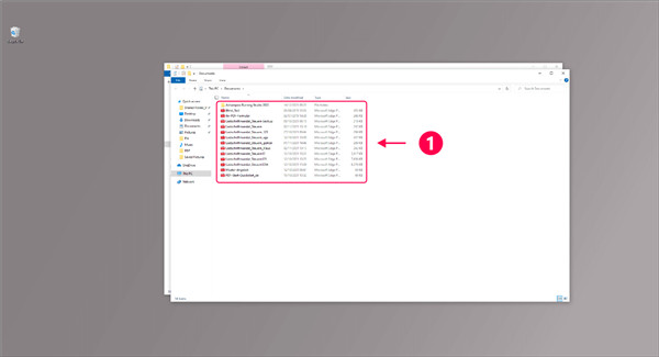 Ashampoo ZIP Pro 4中文版