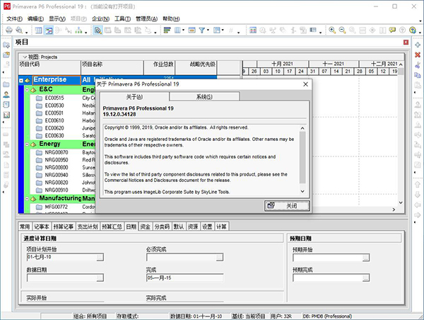 primavera p6项目管理软件中文版