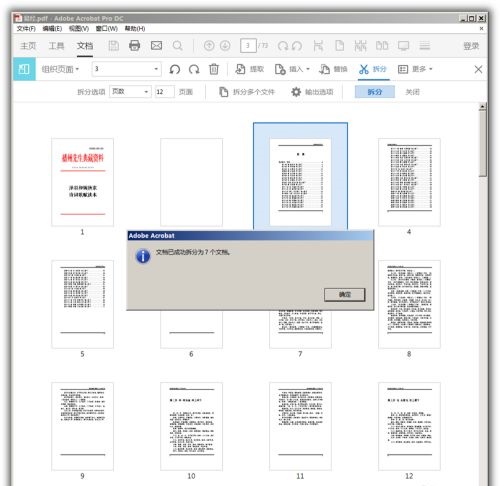 Adobe Acrobat Pro DC 2022中文版