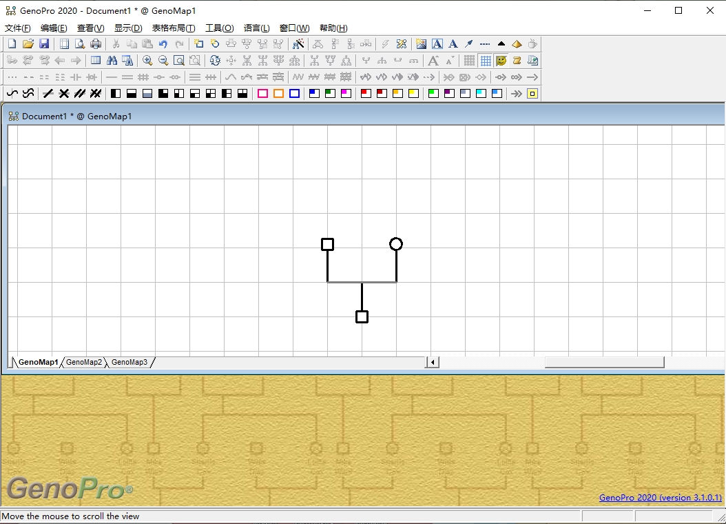 GenoPro 2020中文版