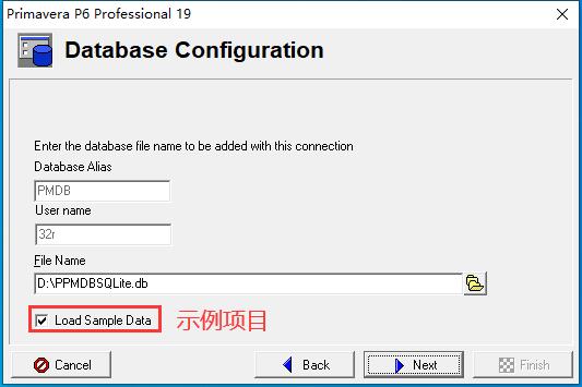 primavera p6项目管理软件中文版