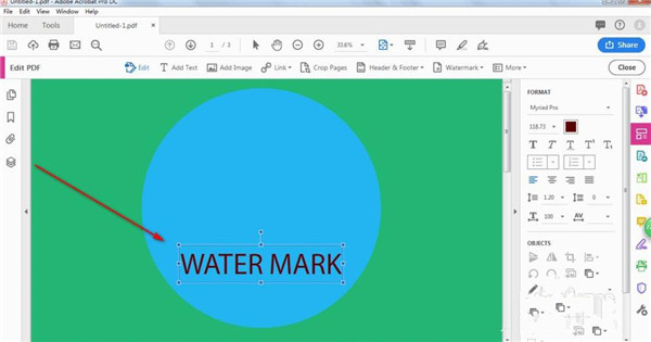 Adobe Acrobat Pro DC 2022中文版