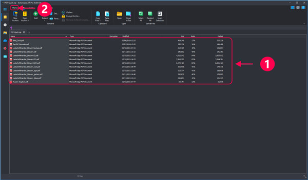 Ashampoo ZIP Pro 4中文版