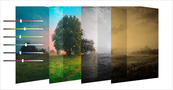 cdr2022永久序列号