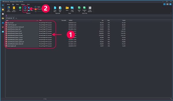 Ashampoo ZIP Pro 4中文版