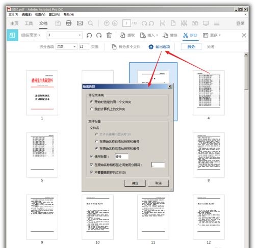 Adobe Acrobat Pro DC 2022中文版