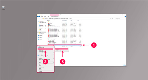 Ashampoo ZIP Pro 4中文版