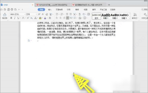 WPS Office 2019专业版