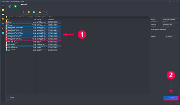 Ashampoo ZIP Pro 4中文版