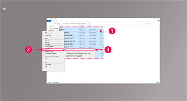 Ashampoo ZIP Pro 4中文版