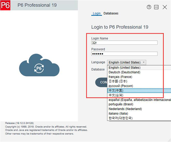 primavera p6项目管理软件中文版