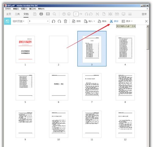 Adobe Acrobat Pro DC 2022中文版