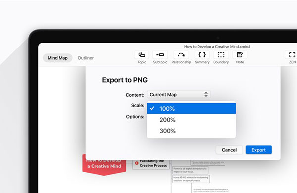Xmind ZEN 2020