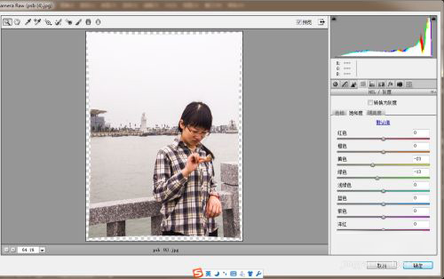Adobe Camera Raw14.5中文版