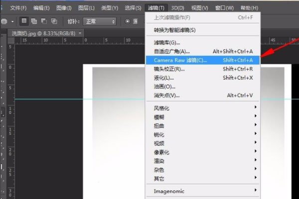 camera raw13.2中文版