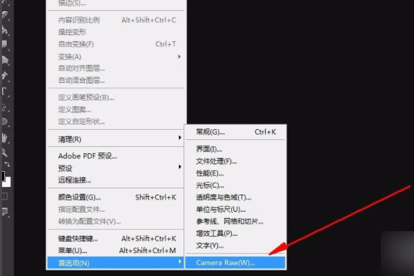 camera raw13.2中文版