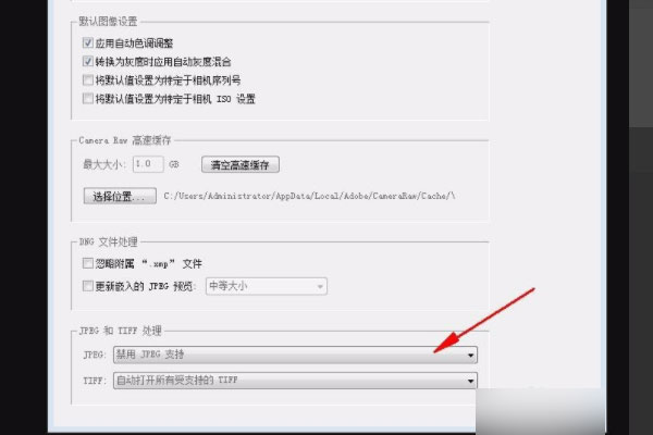 camera raw13.2中文版